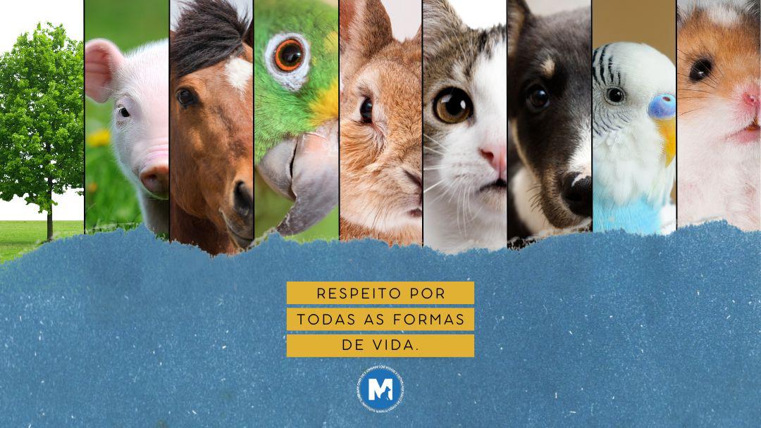 Banner com animais